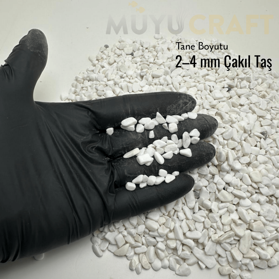 Beyaz Akvaryum Taşı Doğal Dekoratif Çakıl Teraryum Vazo ve Saksı Dekor Taşı 1 KG
