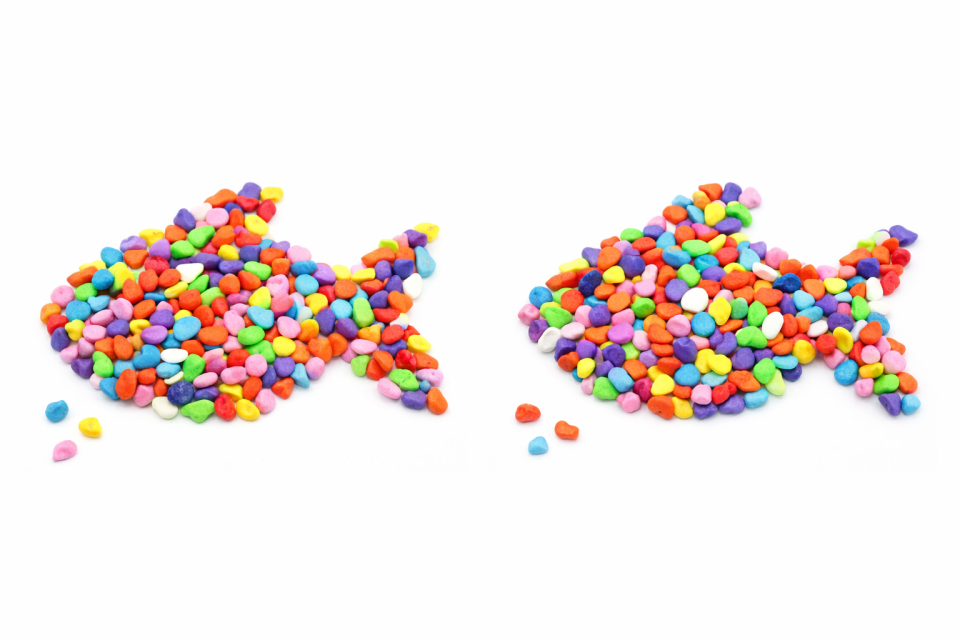 Renkli Dekoratif Çakıl Taşı 500 gr Akvaryum Teraryum Fanus Saksı Dekoru Doğal Hobi Taşı 0.4-1 cm