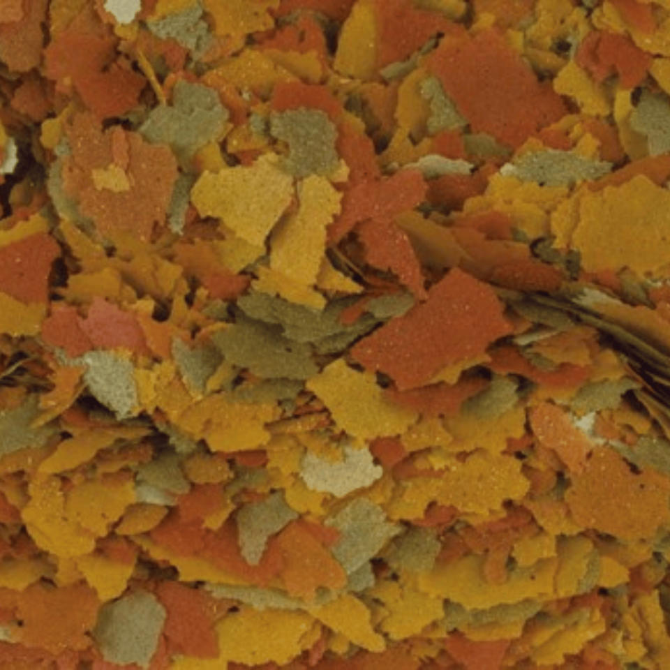 Tropical Goldfish Color Flakes Japon Balığı Renk Canlandırıcı Pul Yem 20 Gr 100 ml