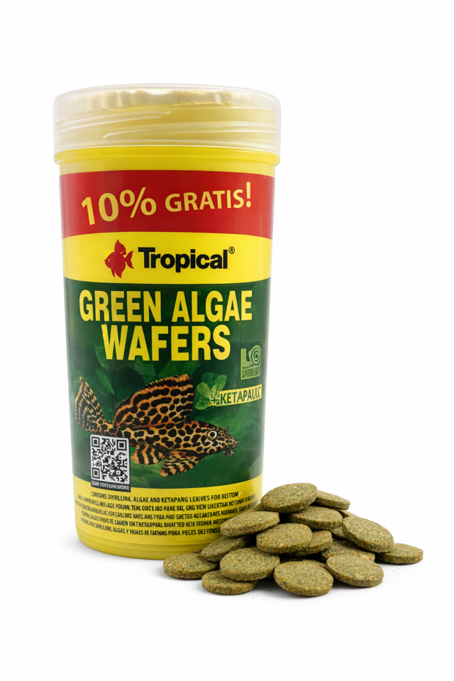 Tropical Green Algae Wafer Vatoz Yemi Yosun İçerikli Dip Yemi %10 Fazla 124,3 Gr