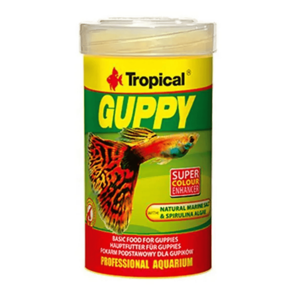Tropical Guppy Pul Balık Yemi Lepistesler İçin 20 Gr 100 Ml