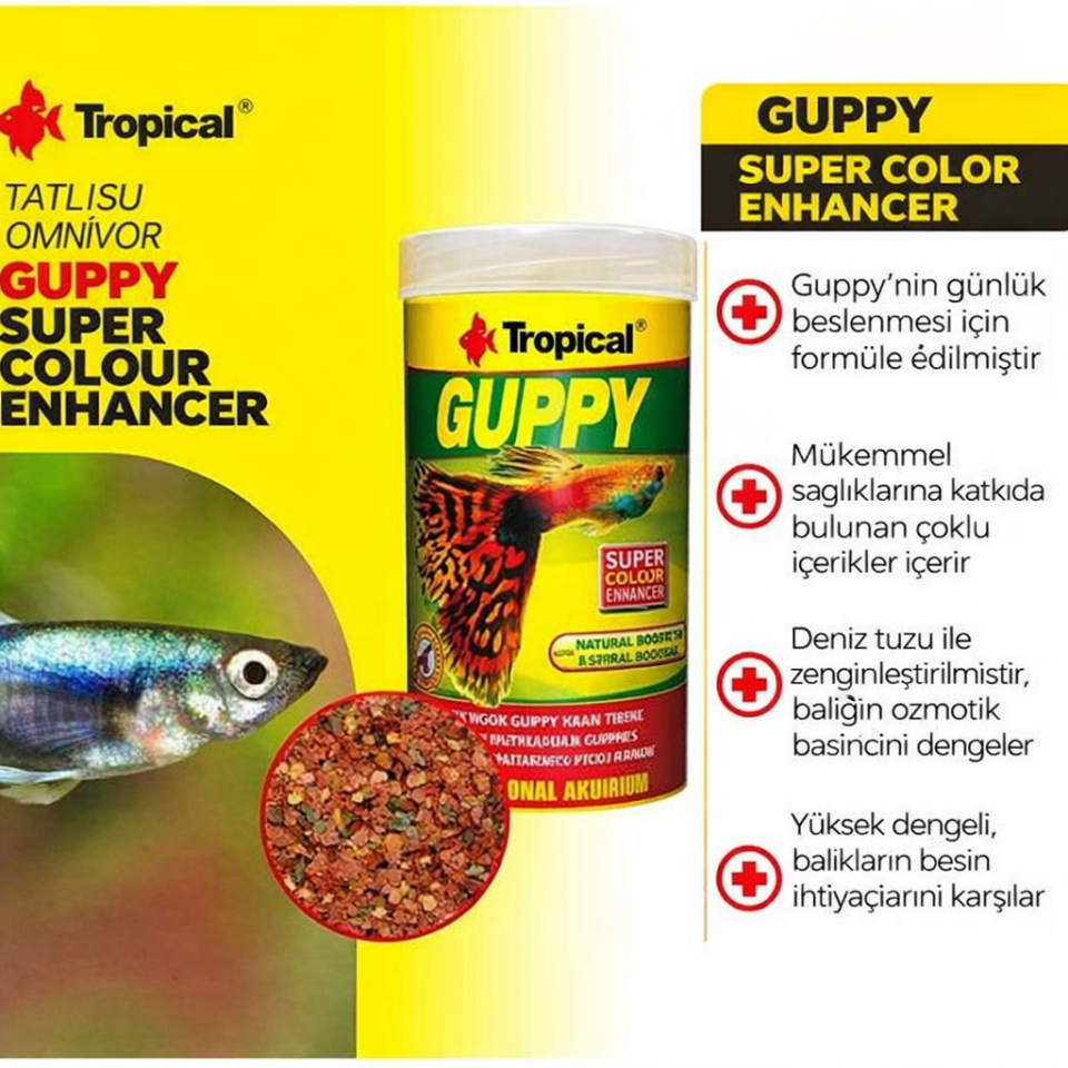 Tropical Guppy Pul Balık Yemi Lepistesler İçin 20 Gr 100 Ml