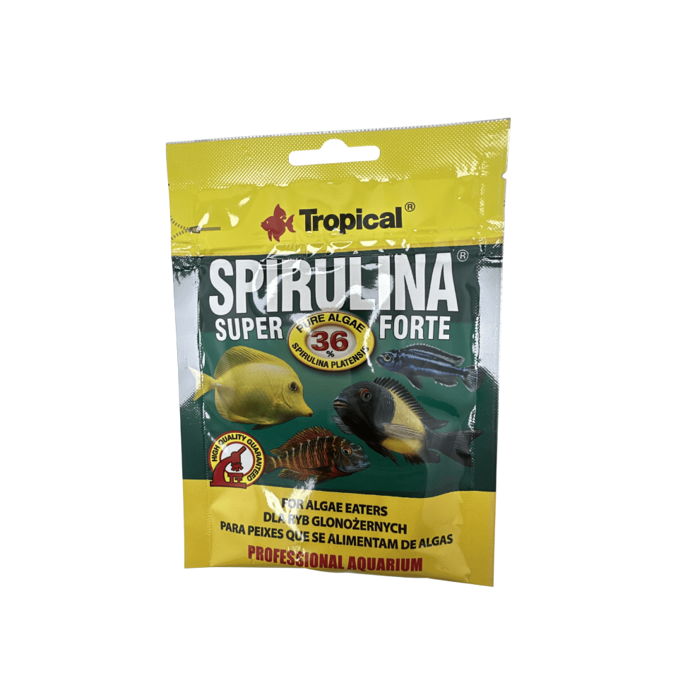 Tropical Spirulina Forte Yüksek Spirulina İçerikli Bitkisel Pul Balık Yemi %36 Spirulina 12 Gr