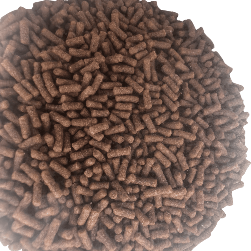 Tropical Super Goldfish Sinking Mini Sticks Oranda Japon Balığı Yemi Dibe Batan 150 Gr 250 Ml